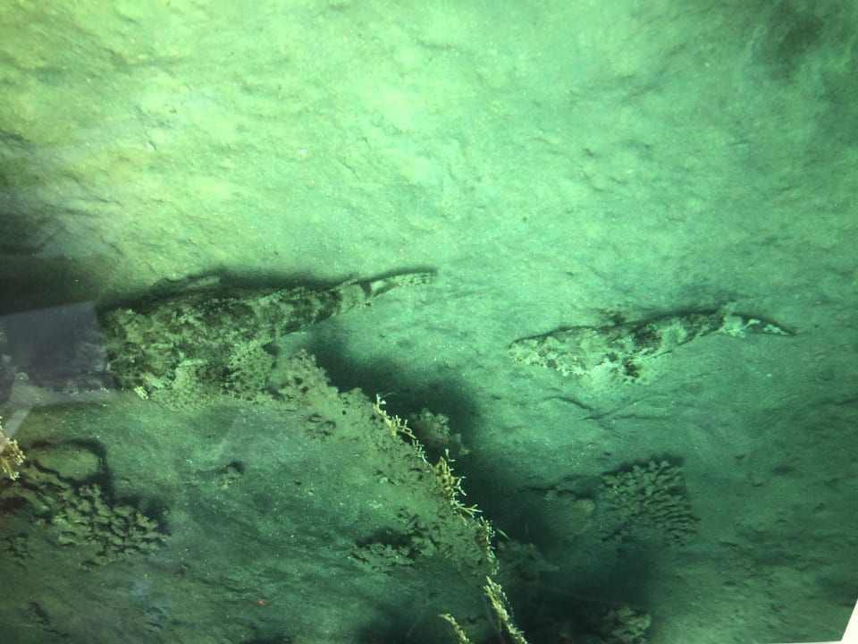 Strand Brayka Bay Resort