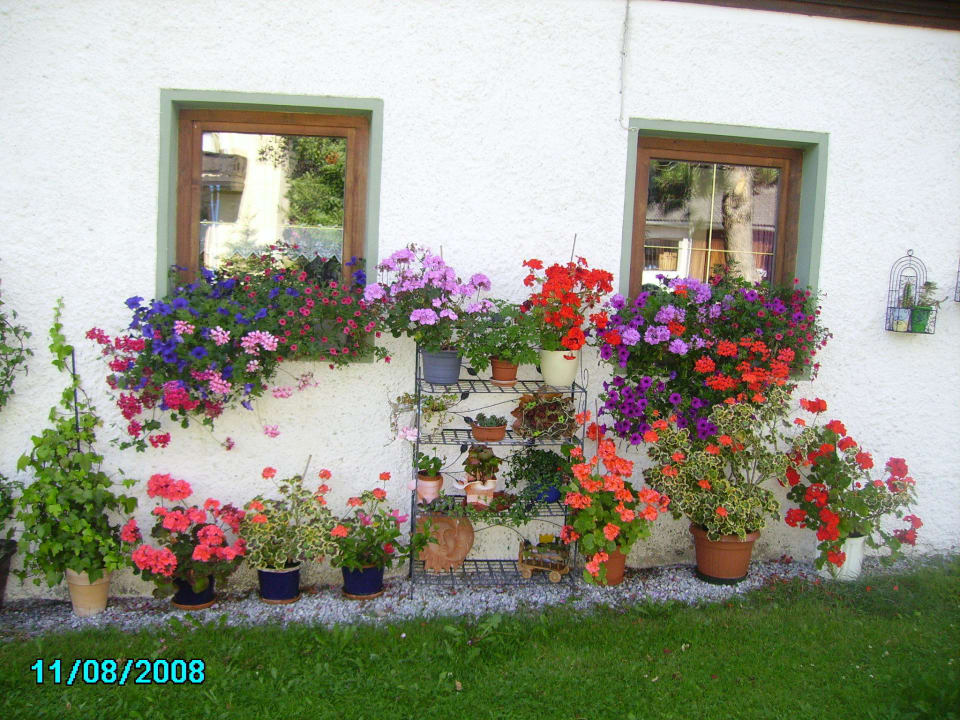 Blumenschmuck Gästehaus Eßl