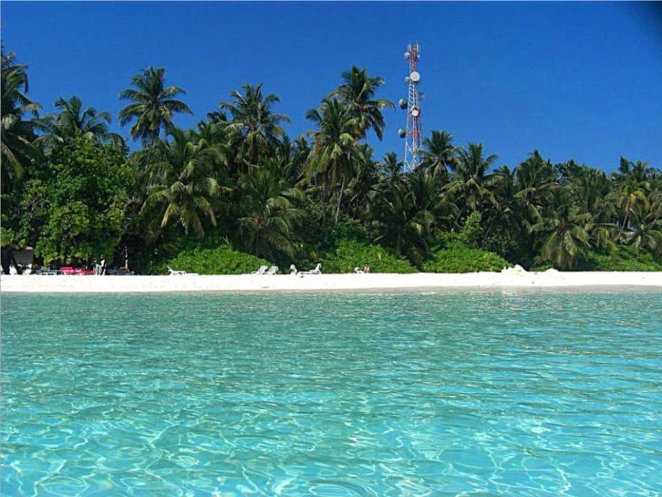 Strand und Palmen Fihalhohi Maldives