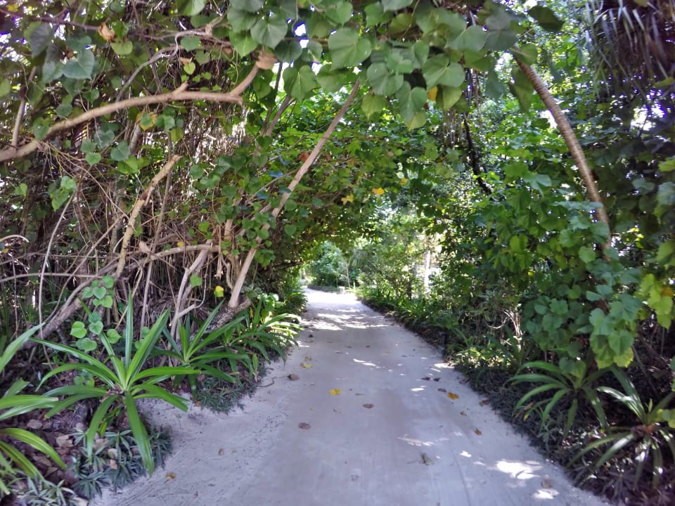 Hauptwege zu den Villen NH Collection Maldives Havodda Resort