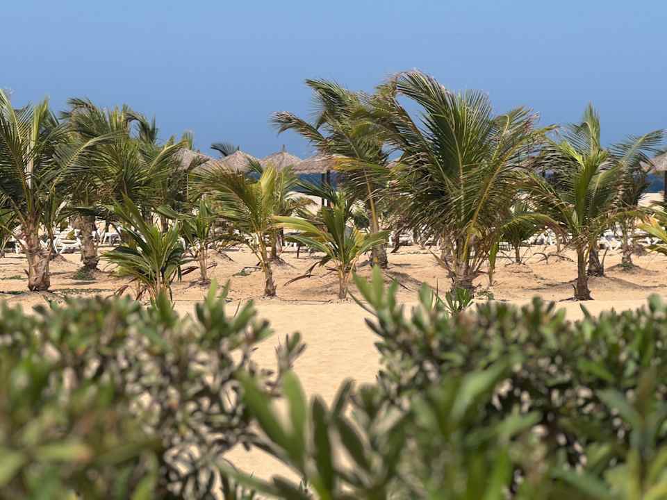 Strand Hotel Riu Palace Santa Maria