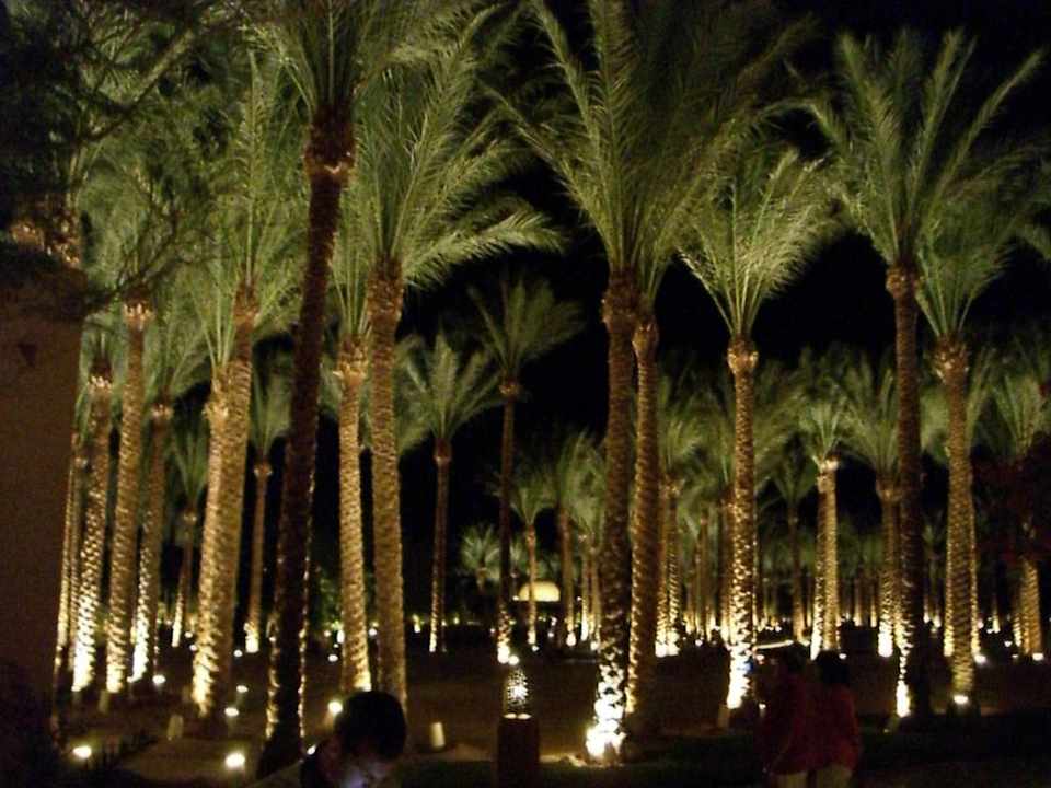 Anlage am Abend Makadi Palace
