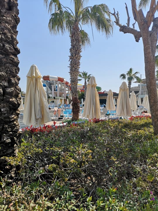 Gartenanlage Hotel Delphin Imperial