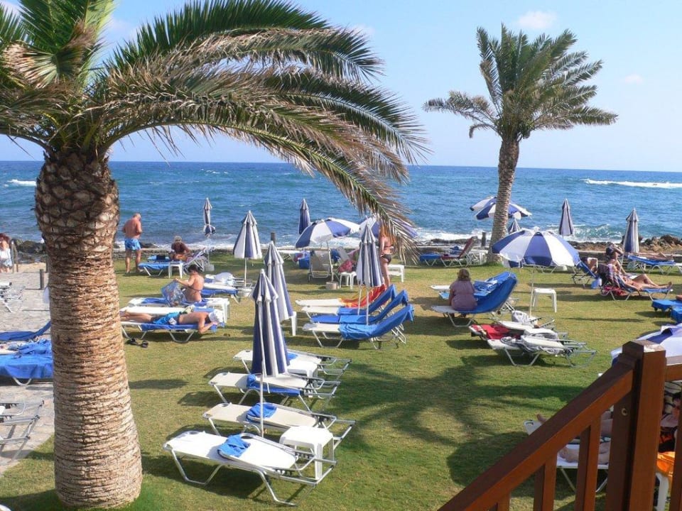 Liegewiese allsun Hotel Malia Beach
