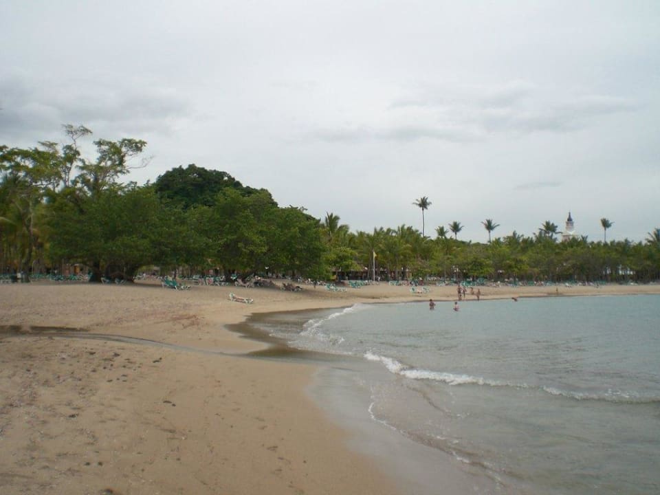 Blick am Strand Playabachata Hotel