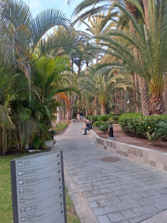 Außenansicht Hotel Riu Palace Oasis