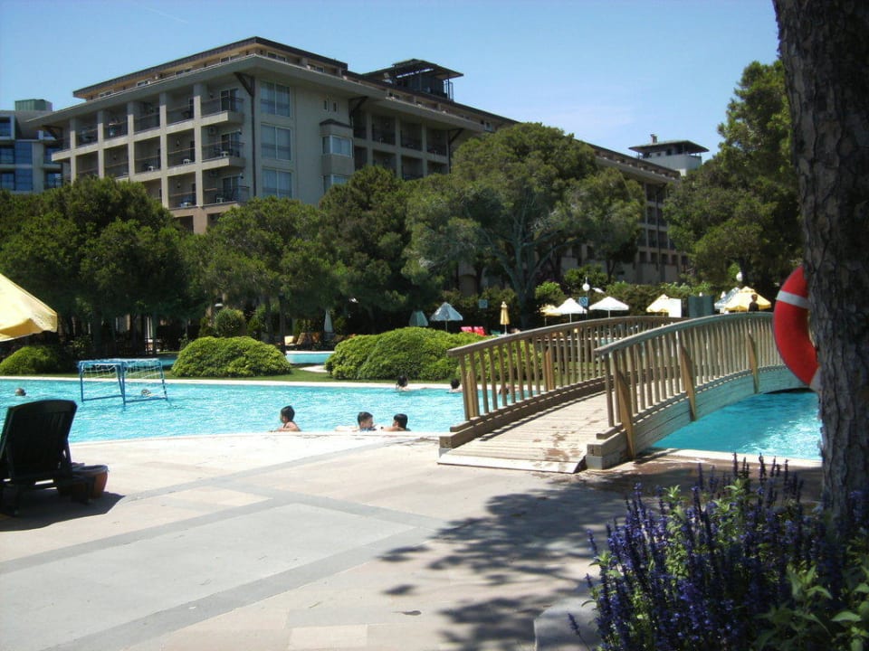 Der Pool Papillon Ayscha