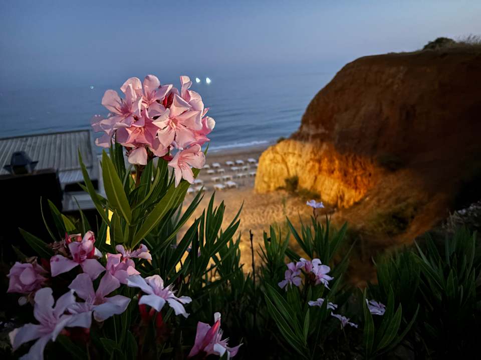 Strand Hotel Jardim do Vau