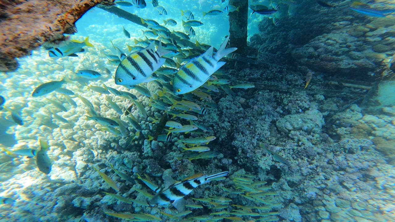 Sport & Freizeit Grand Makadi