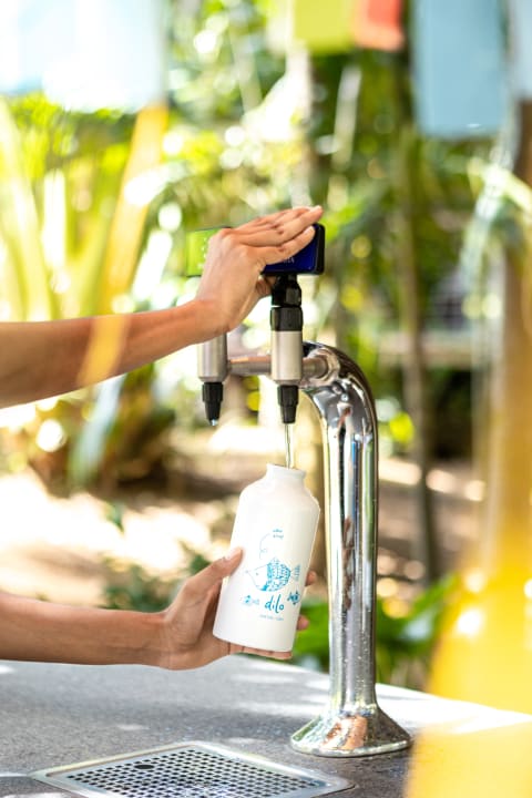 Gastro Lagoon Attitude - Adults only