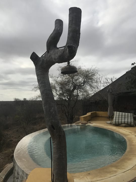 Pool Motswari Private Game Reserve & Geiger's Camp