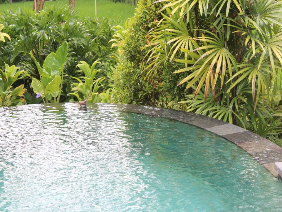 Zimmer Sankara Ubud Resort