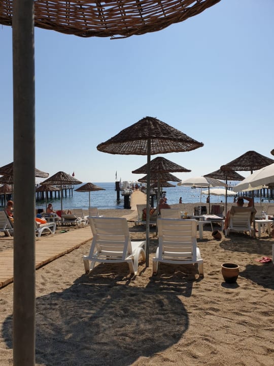 Strand Dizalya Palm Garden