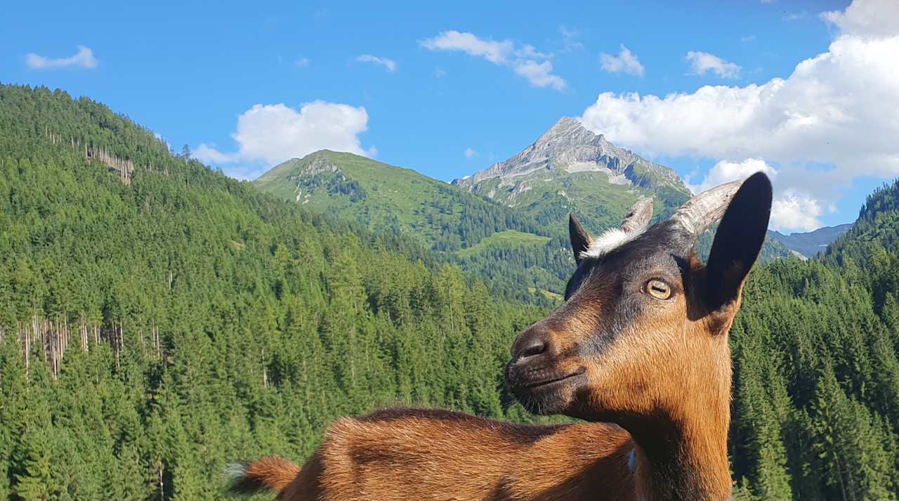 Ausblick Farm Resort Geislerhof
