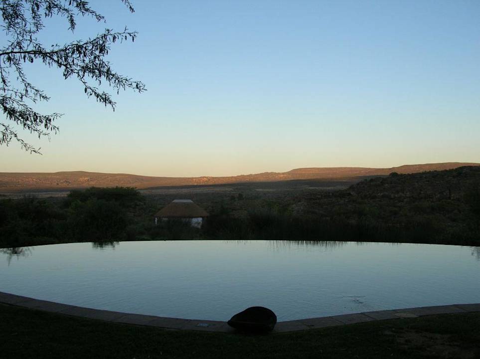 Pool mit Traumausblick in die Natur Hotel Bushmans Kloof Reserve