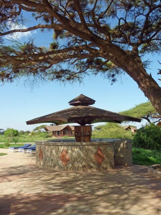 Die Bar am Pool Kilima Safari Camp