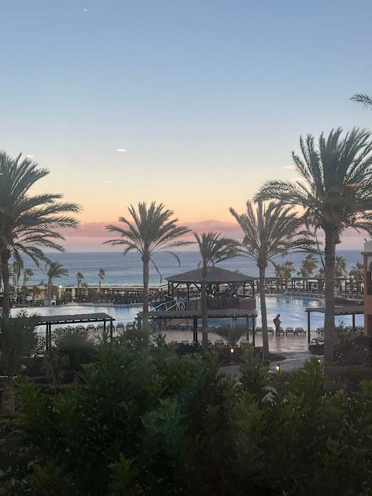 Ausblick Occidental Jandía Royal Level - Adults only