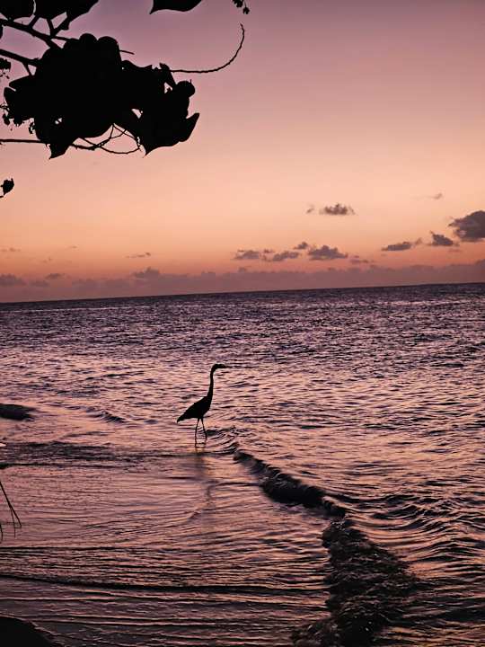 Sonstiges Safari Island Maldives
