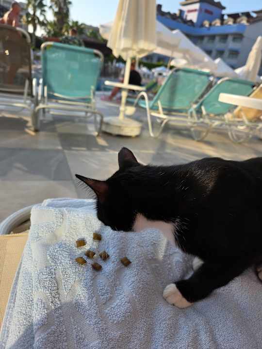 Pool Grand Seker Hotel