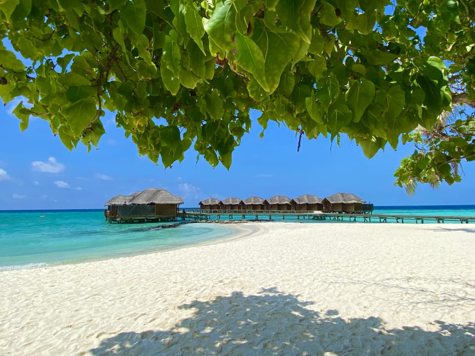 Ausblick Fihalhohi Maldives
