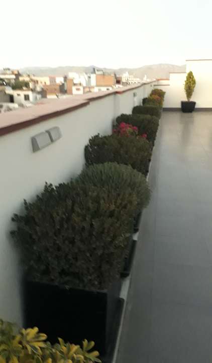 Außenansicht Hotel Casa Andina Classic Arequipa