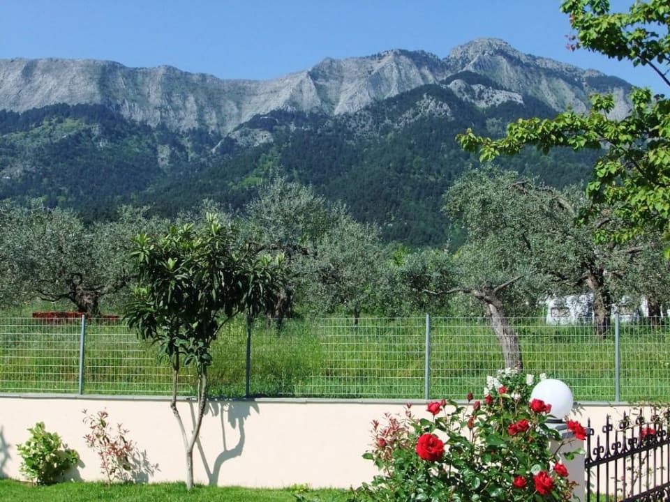 Bergpanorama vom Hotel Hotel Ocean Beach