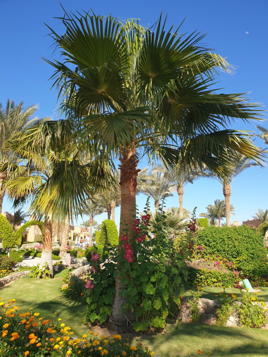 Gartenanlage Sentido Akassia Beach