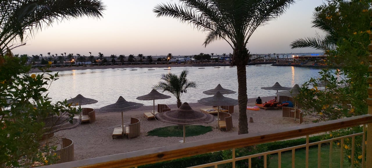 Ausblick Desert Rose