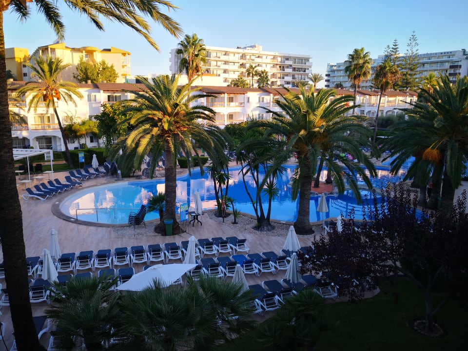 Pool Alcudia Garden Aparthotel