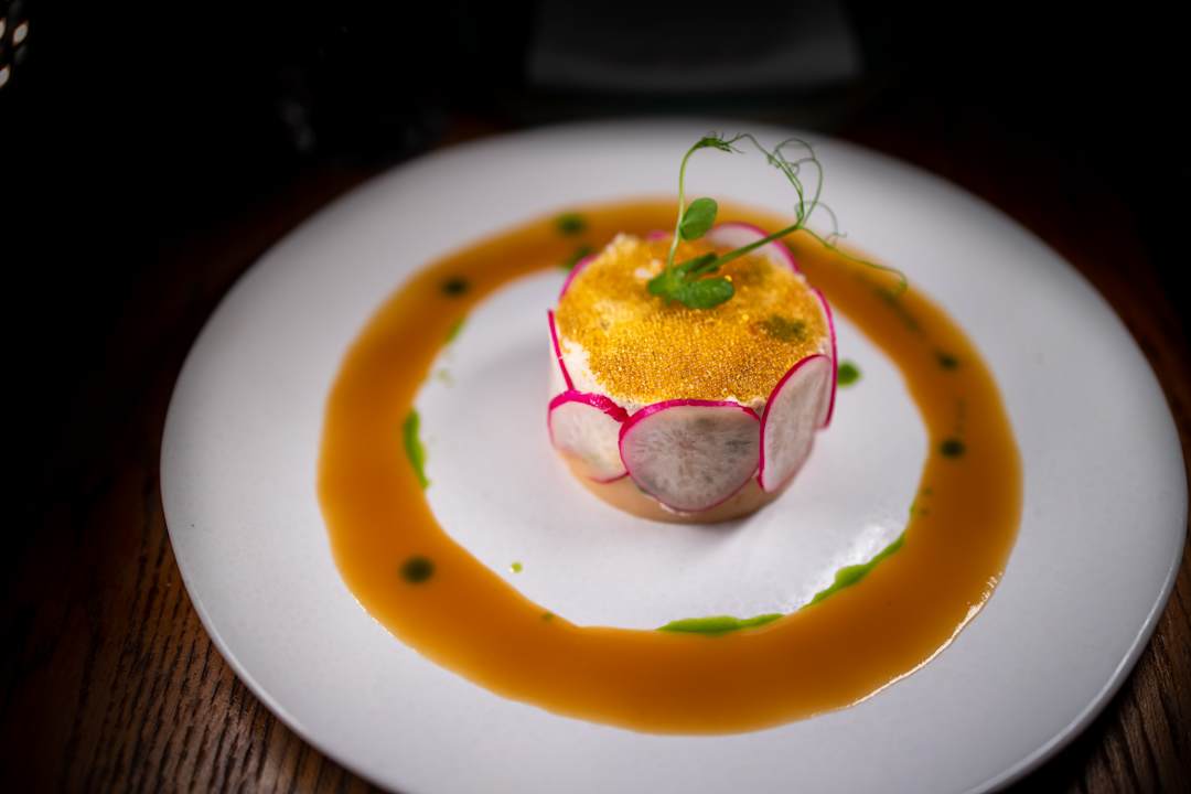 Gastro Kouros Exclusive