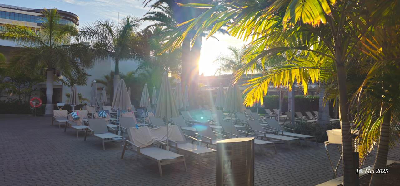 Pool Hotel Riu Palace Palmeras