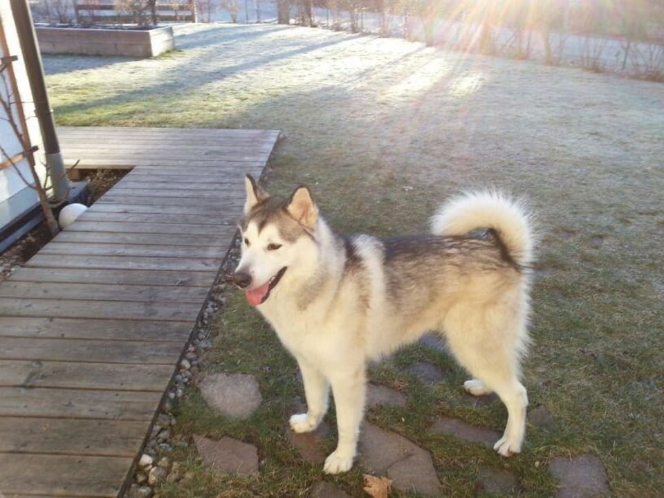 Ferienhaus Felicitas Ferienhaus Felicitas