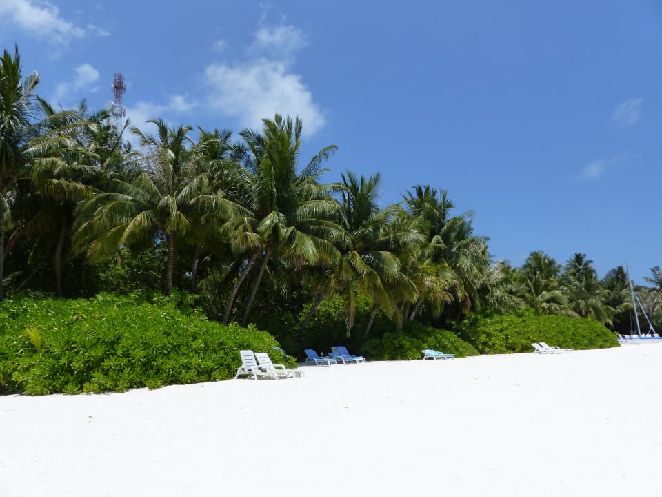 Strand Fihalhohi Maldives