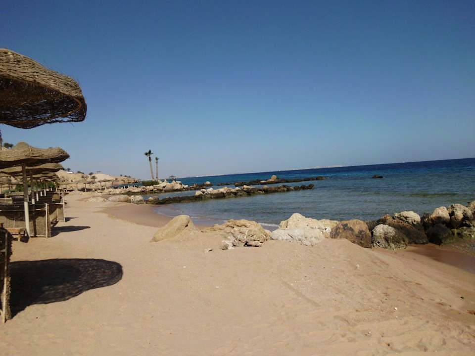 Hotel-Strand Pickalbatros Citadel Resort