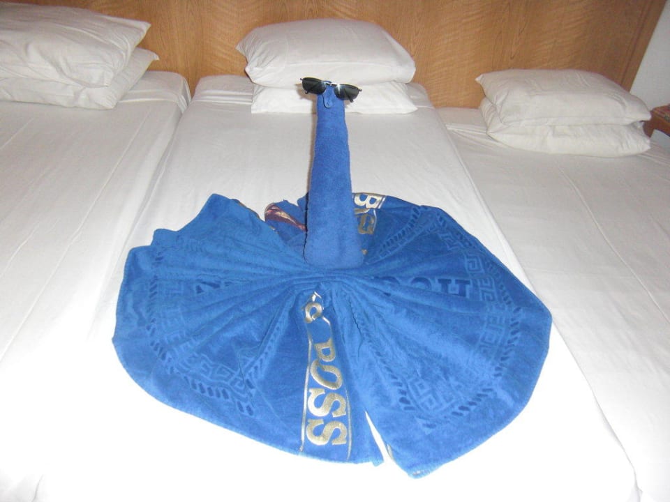 Schwan nach der Zimmerreinigung Beach Albatros Resort