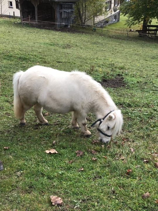 Sonstiges Oberjoch - Familux Resort