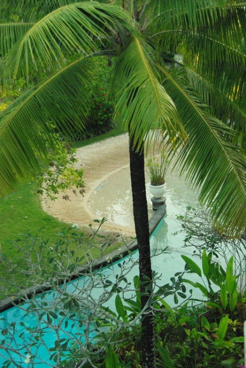 Blick vom Balkon auf den Garten/Pool The Laguna A Luxury Collection Resort & Spa