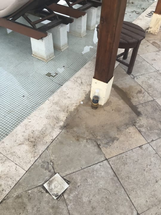 Pool Ghazala Gardens