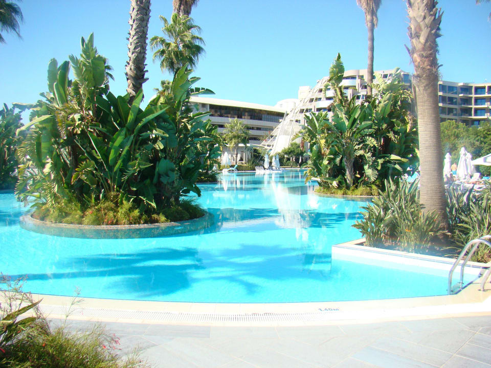 Pool Susesi Luxury Resort