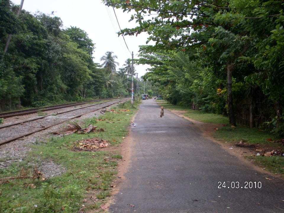 Straße vorm Hotel Mermaid Hotel & Club
