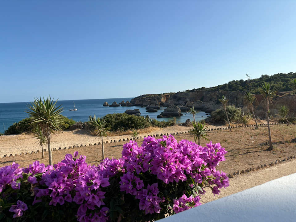 Ausblick Casa Três Palmeiras