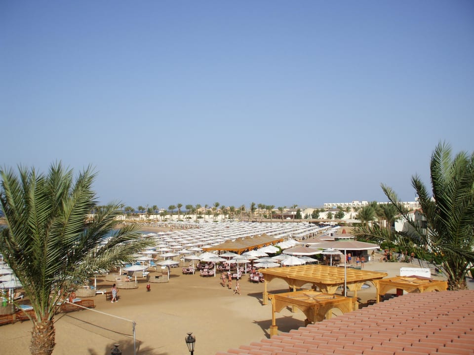 Platz für alle Pickalbatros Dana Beach Resort - Hurghada