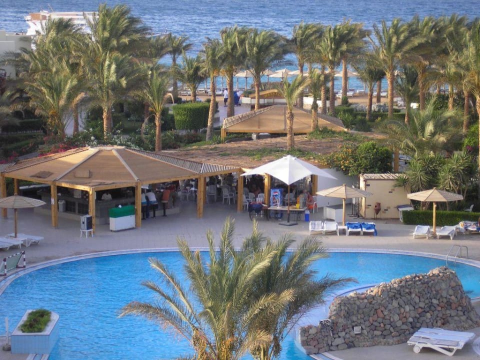 Pool mit Poolbar Palm Beach Resort