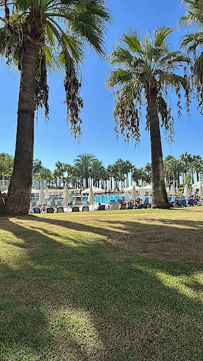 Pool Monachus Family Resort Sorgun