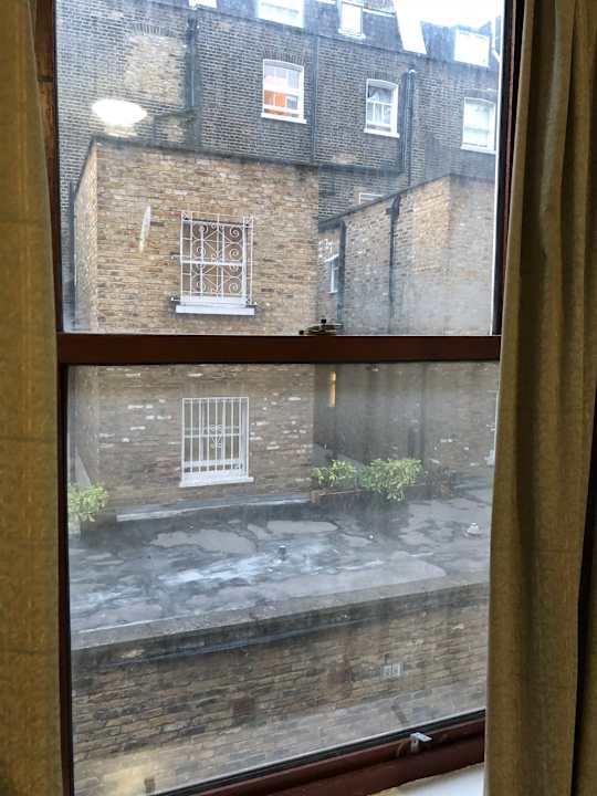 Zimmer Hotel Norfolk Plaza