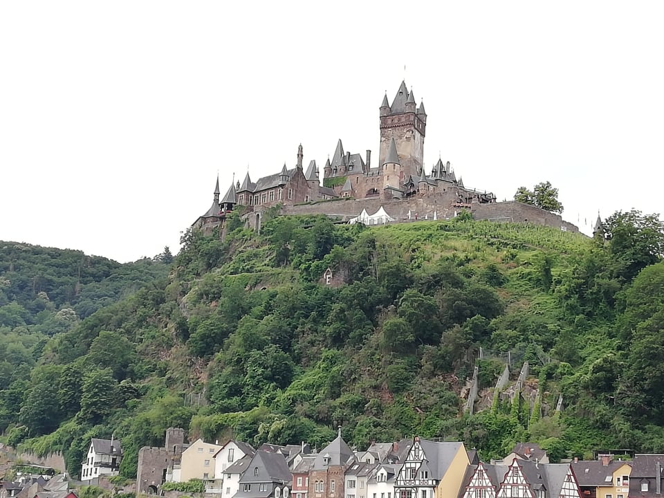 Ausblick Moselstern Hotel Brixiade & Triton
