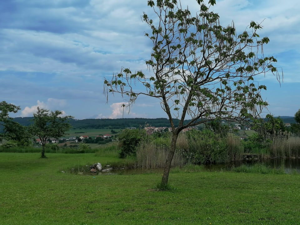 Gartenanlage Thermencamping Oberschützen