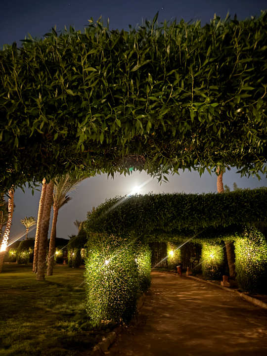 Gartenanlage Gemma Resort