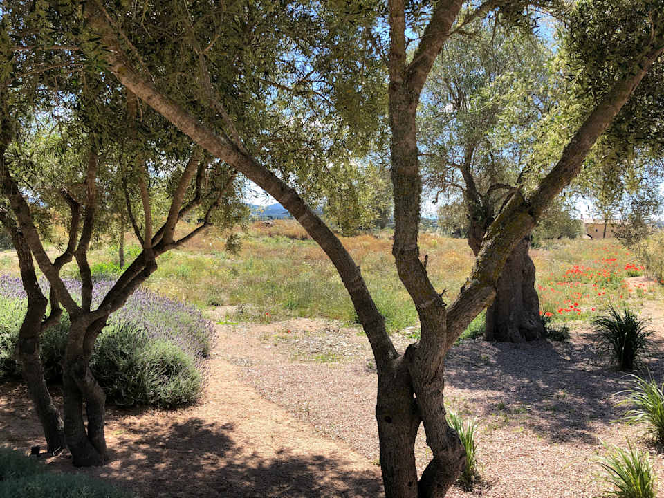 Ausblick Villa 3 - Carrossa Hotel Spa Villas