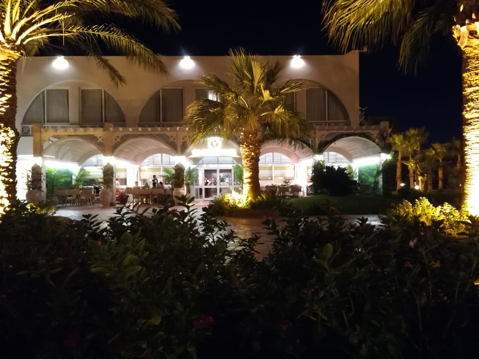 Gartenanlage Desert Rose